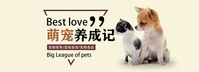 X战警开箱